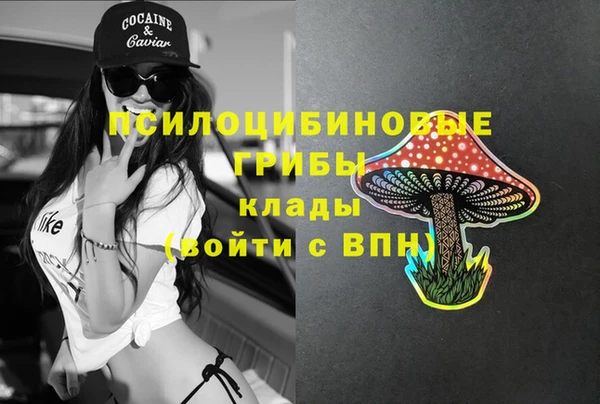 Альфа ПВП Балабаново