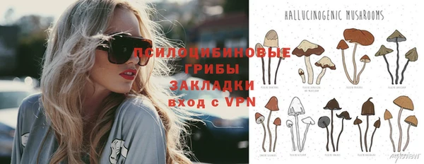 Альфа ПВП Балабаново