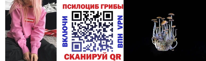 что такое наркотик  сайты даркнета официальный сайт  Галлюциногенные грибы мицелий  Горняк 